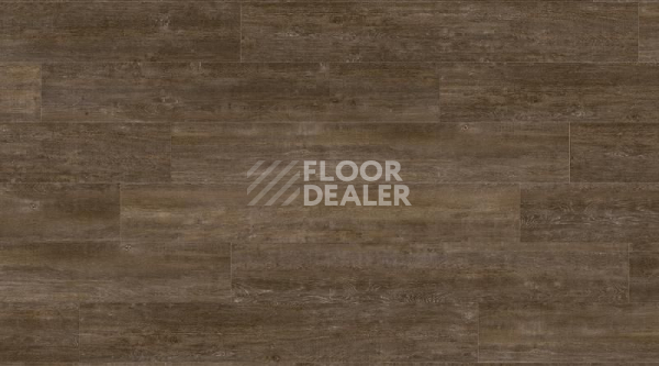Кварцвиниловые полы Gerflor Creation 70 0804 Solid Glam Sherwood фото 1 | FLOORDEALER
